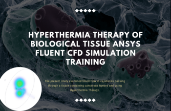 Hyperthermia Therapy Of A Cancer Tissue ANSYS Fluent CFD Simulation Training