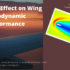 Slot Effect On Wing Aerodynamic Performance