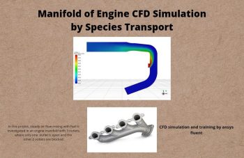 Manifold Of Engine CFD Simulation By Species Transport
