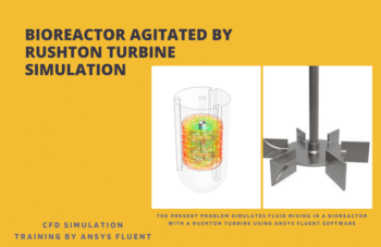 Bioreactor Agitated By Rushton Turbine Simulation, ANSYS Fluent Training
