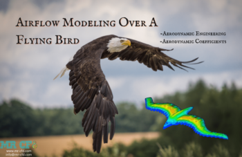 Airflow Modeling Over A Flying Bird, CFD Simulation