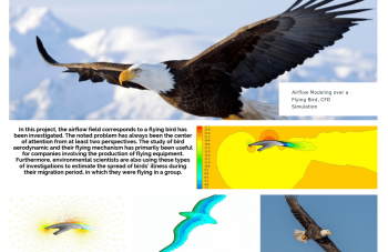 Airflow Modeling Over A Flying Bird, ANSYS Fluent CFD Simulation Training