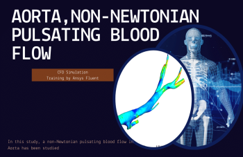 Aorta, Non-Newtonian Pulsating Blood Flow, ANSYS Fluent Simulation Training