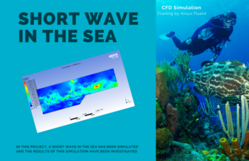 Short Wave In The Sea CFD Simulation, Ansys Fluent