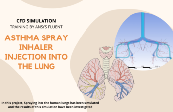 Asthma Spray Inhaler Injection Into The Lung, Ansys Fluent Training