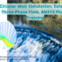 Circular Weir Simulation Eulerian Three Phase Flow Ansys Fluent 700X455 1