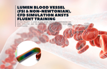 Lumen Blood Vessel (FSI & Non-Newtonian), CFD Simulation Ansys Fluent Training