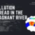 Pollution Spread In The Stagnant River 768X499 1
