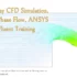 Spillway Cfd Simulation Two Phase Flow Ansys Fluent Training 768X499 1