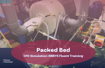 Packed Bed CFD Simulation By ANSYS Fluent, Training