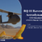 RQ-11 Raven UAV Aerodynamic CFD Simulation, ANSYS Fluent Training