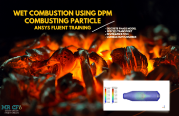 Wet Combustion Using DPM Combusting Particle