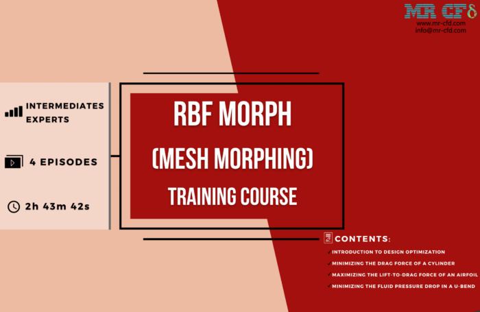 RBF Morph Training Course