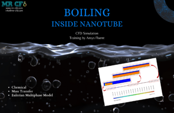 Boiling Inside A Nanotube CFD Simulation Training