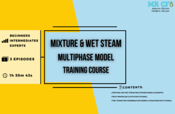 Mixture And Wet Steam Multiphase Model Training Course