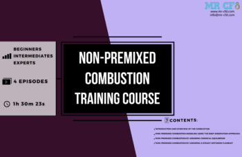 Non-Premixed Combustion Training Course