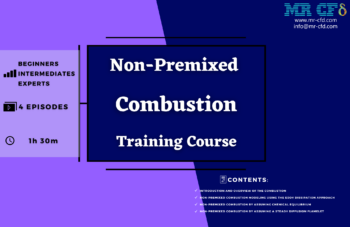 Non-Premixed Combustion Training Course