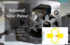 External Gear Pump
