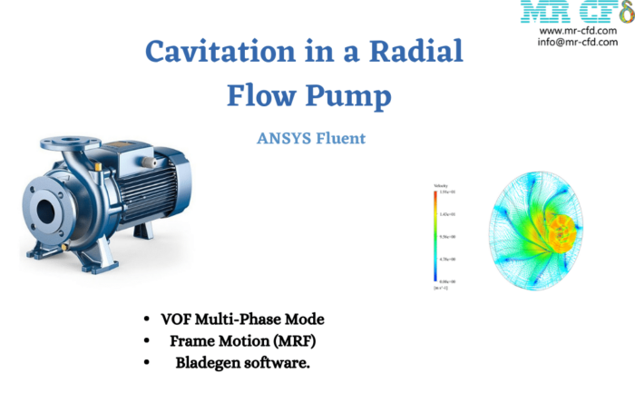 Cavitation in a Radial Flow Pump