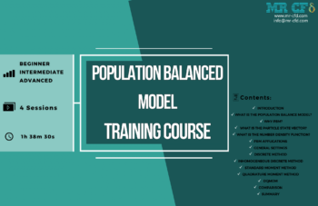 Population Balanced Model (PBM) Training Course