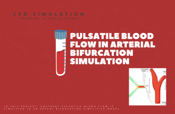 UDF Application for Pulsatile Blood Flow