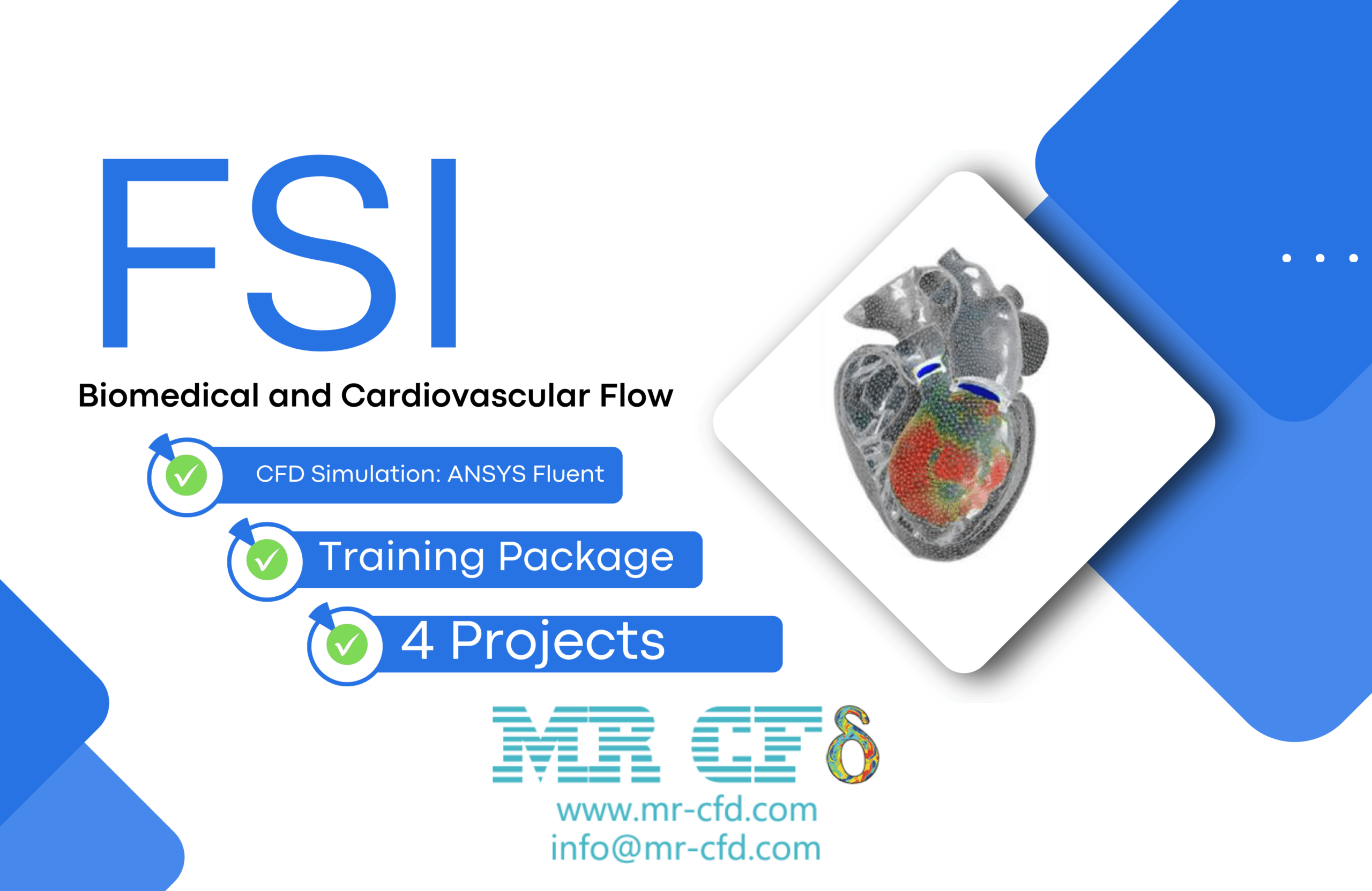 FSI for Biomedical and Cardiovascular Flow: CFD Simulation Training Package, 4 Projects by ANSYS Fluent